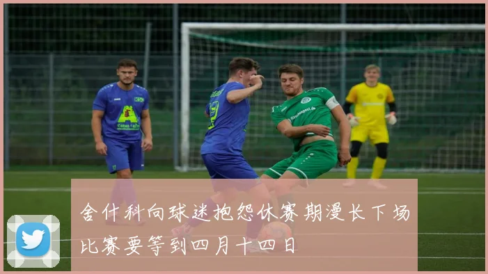 舍什科向球迷抱怨休赛期漫长下场比赛要等到四月十四日